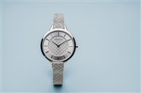 Montre Bering Femme Classic Collection in Acier 17831-000 - 17831-000